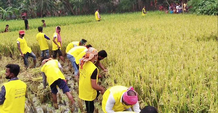 Sherpur-Police-Paddy-Cutting