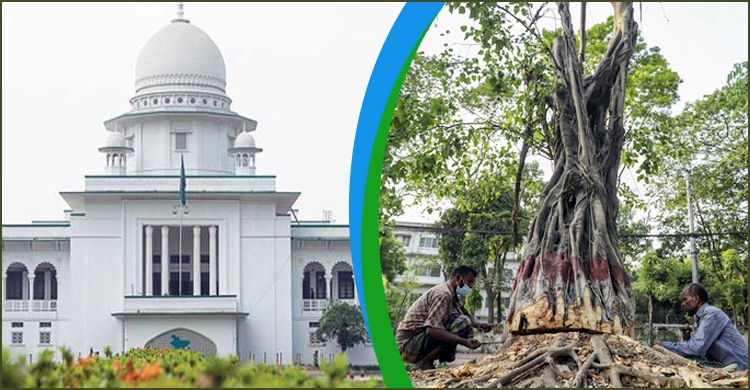 আদালতের রায় মতো সোহরাওয়ার্দী উদ্যানে কাজ : হাইকোর্ট