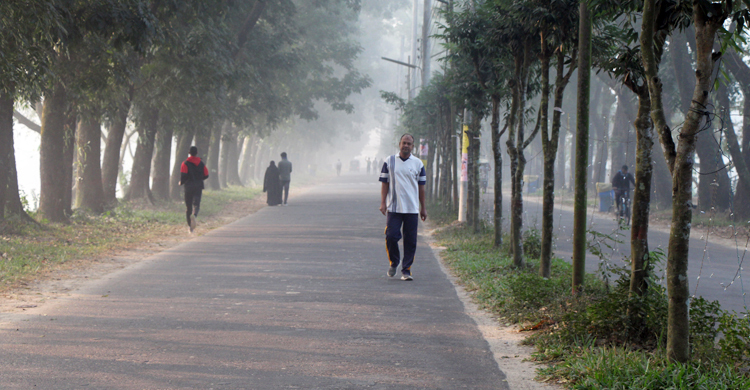 দূর হলো শৈত্যপ্রবাহ, বাড়বে তাপমাত্রা