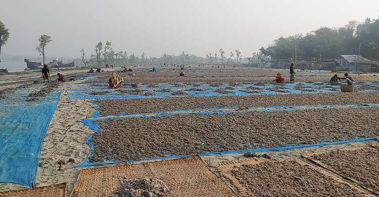 শুঁটকি পল্লীতে মন্দার হাওয়া