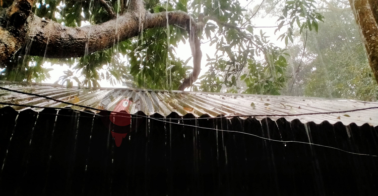 তাড়াশে ২৮ মিলিমিটার বৃষ্টিপাত রেকর্ড, বিপর্যস্ত জনজীবন