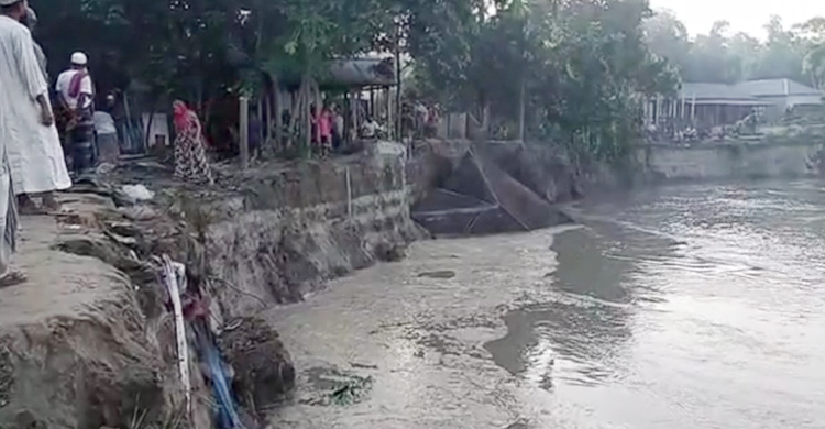 সিরাজগঞ্জে বাড়ছে যমুনার পানি, ভাঙছে পাড়