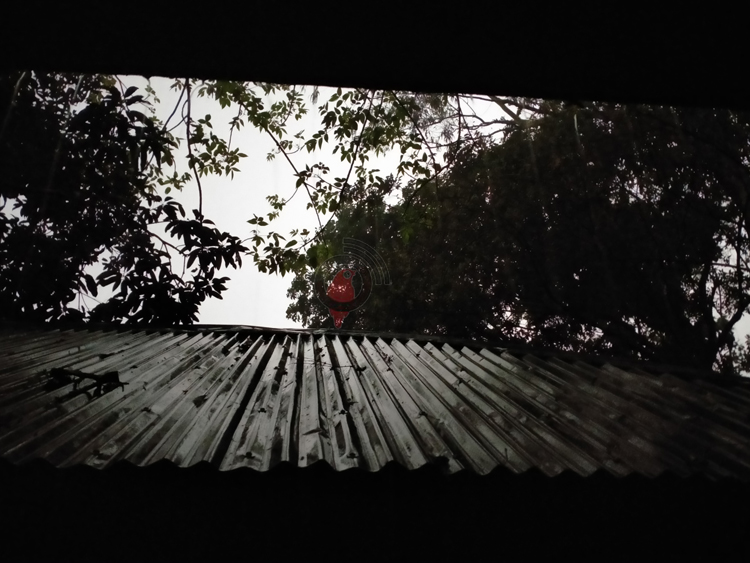 অশনির প্রভাবে সিরাজগঞ্জে মধ্যরাত থেকে বৃষ্টি, বিপর্যস্ত জনজীবন