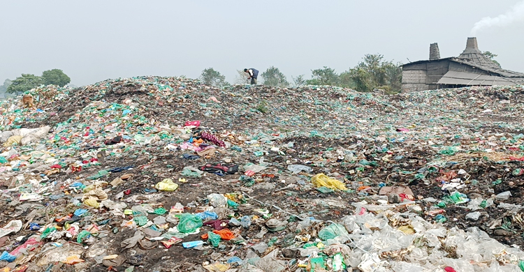 সড়কের পাশে ভাগাড়, দুর্ভোগে কয়েক হাজার মানুষ