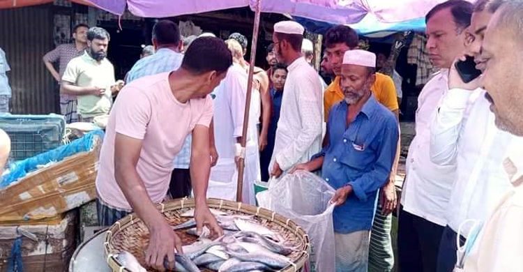 তিন মণ ইলিশ গেলো এতিমখানায়, ব্যবসায়ী গুনলেন জরিমানা