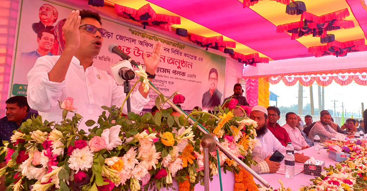 শেখ হাসিনা ঘরে ঘরে বিদ্যুৎ পৌঁছে দিয়েছেন: পলক