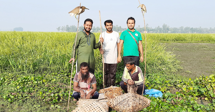 মুক্ত আকাশে উড়লো ১০১ পাখি, তিন শিকারির দণ্ড