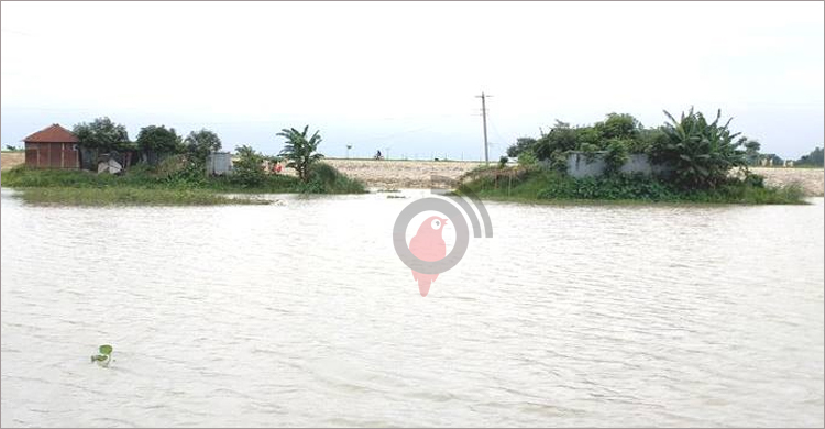 বাড়ছে যমুনার পানি, সিরাজগঞ্জে বন্যার আশঙ্কা