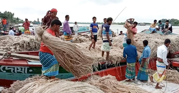নৌকায় জমেছে পাটের হাট, দাম নিয়ে হতাশ চাষিরা