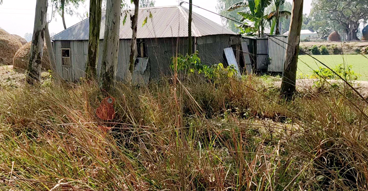 খাসজমি থেকে উচ্ছেদের পর কবরস্থানে বসবাস