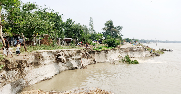সিরাজগঞ্জে যমুনার গর্ভে ২৫ বাড়িঘর বিলীন