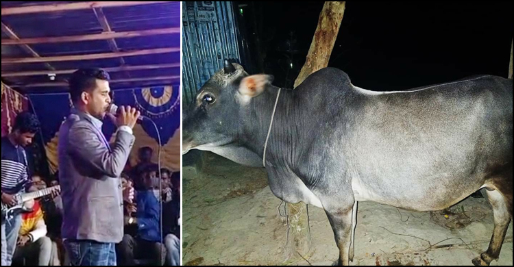 শহীদ দিবসে কনসার্ট, গরু জবাই করে ভূরিভোজ সাবেক চেয়ারম্যানের