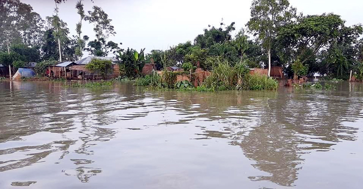 বাড়ছে যমুনার পানি, সিরাজগঞ্জে ২৫ হাজার পরিবার পানিবন্দি