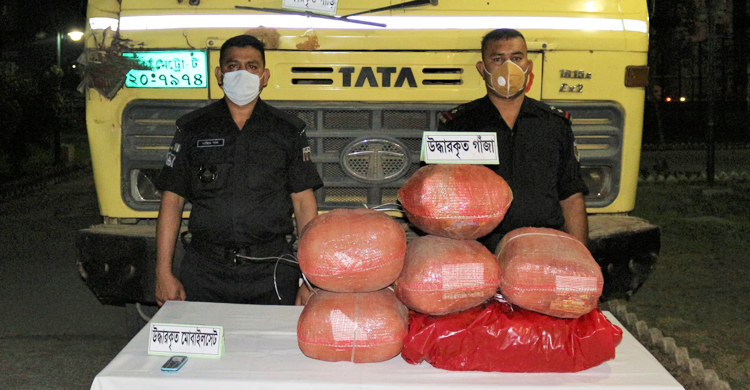 সিরাজগঞ্জে ৩০ কেজি গাঁজা উদ্ধার