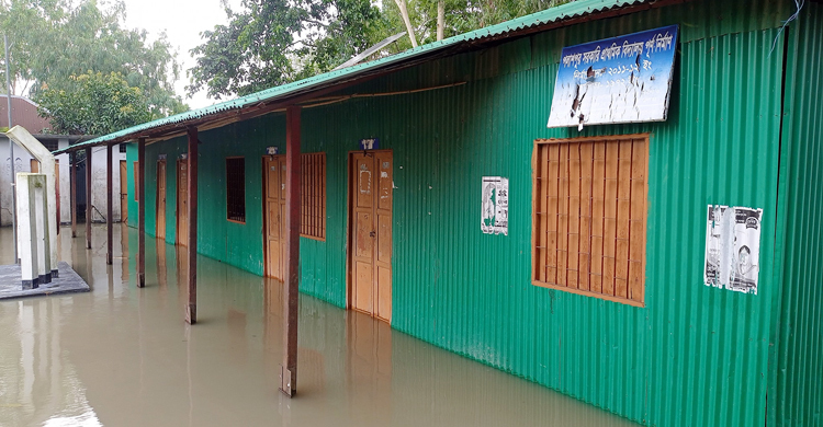মাঠ-শ্রেণিকক্ষে পানি, সিরাজগঞ্জে ৮৪ শিক্ষাপ্রতিষ্ঠানে পাঠদান বন্ধ