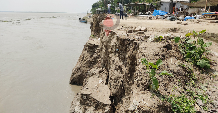 সিরাজগঞ্জে কমেছে যমুনার পানি, বেড়েছে ভাঙন