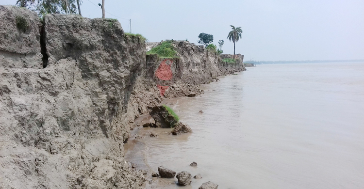 সিরাজগঞ্জে ২৪ ঘণ্টায় যমুনার পানি বেড়েছে ৩১ সেন্টিমিটার