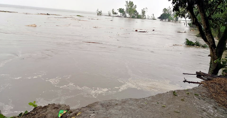 মুহূর্তেই যমুনায় বিলীন শতাধিক বাড়িঘর