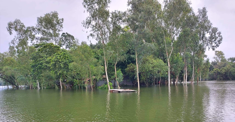 সিরাজগঞ্জে বাড়ছে পানিবন্দির সংখ্যা, নিত্যপণ্যের সংকট