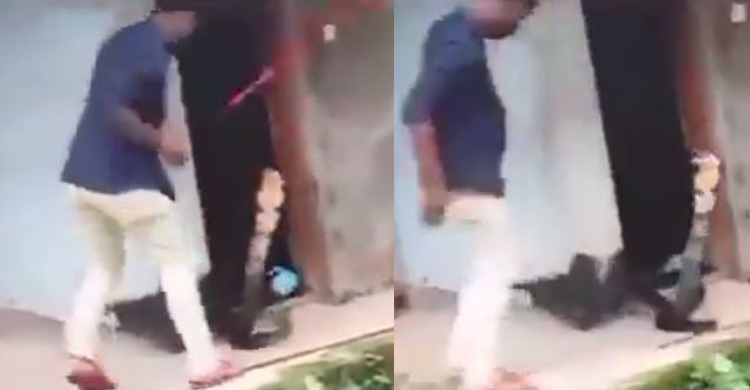 যেভাবে সাপ ধরতে হয় না!