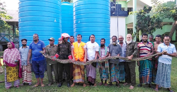 মুরগি খাওয়ার সময় ধরা পড়লো বিশাল অজগর