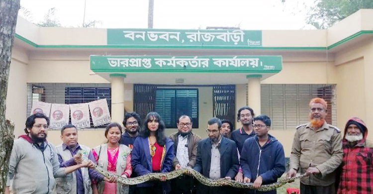 রাজবাড়ীতে সাপের খামারে অভিযান, দুটি অজগর উদ্ধার