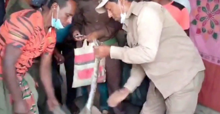 স্রোতে ভেসে জালে আটকাল অজগরের বাচ্চা