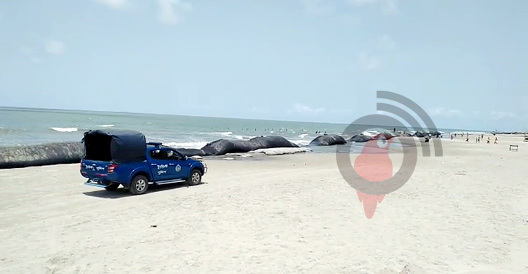 কড়াকড়িতে পর্যটকশূন্য কুয়াকাটা