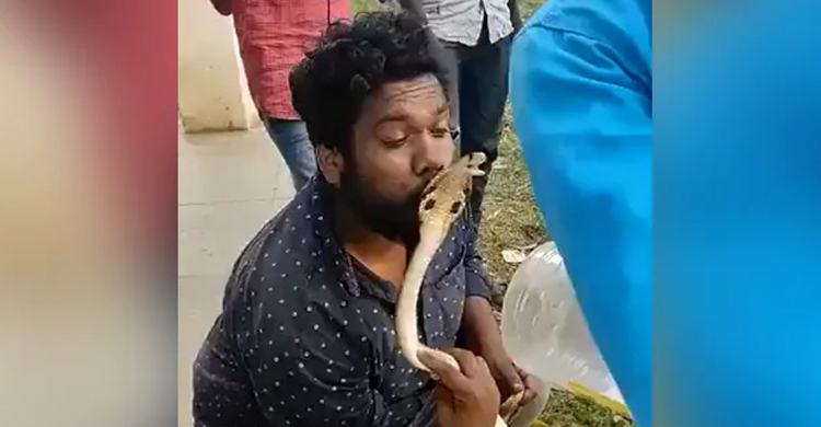 সাপের মাথায় চুমু খেতে গিয়ে দংশনের শিকার যুবক, ভিডিও ভাইরাল