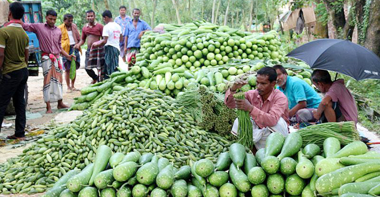 শীতকালীন সবজি সংগ্রহের পদ্ধতি জেনে নিন