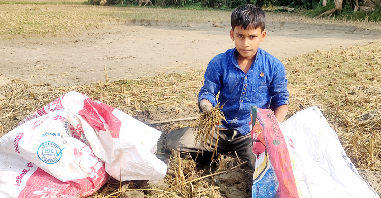 ছোট্ট হাতে বড় হাল ধরার চেষ্টা সোহেলের