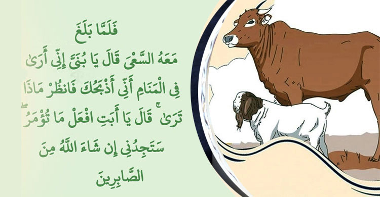 সামর্থ্য থাকলেই দিতে হবে কুরবানি