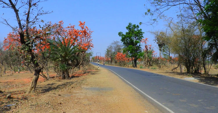 আবহাওয়ার খবর: ১৯ ফেব্রুয়ারি ২০২৩