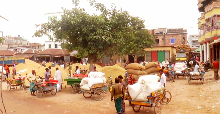 সরকারি গুদামে ধান দিতে আগ্রহ নেই কৃষকদের