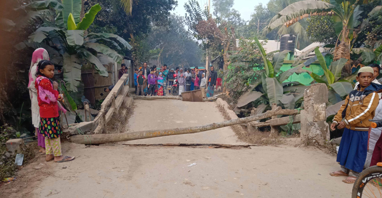 অবশেষে ধসেই পড়ল সেতুটি