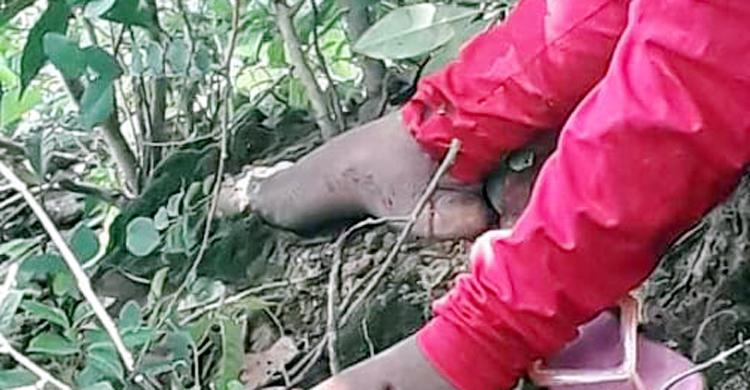 গজারি বনে মিলল তরুণীর ঝুলন্ত লাশ