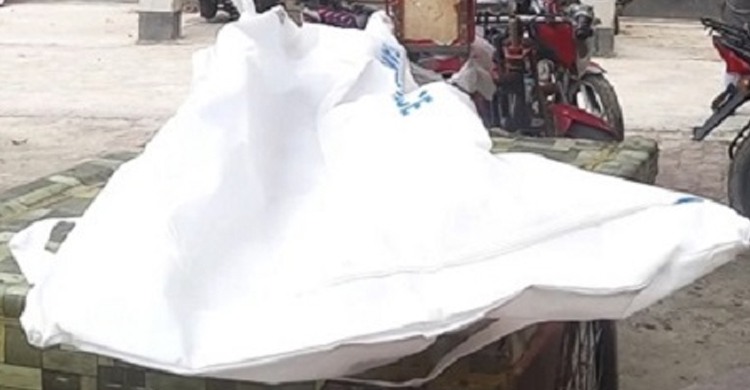 পিকআপের চাপায় দুই তরুণ নিহত