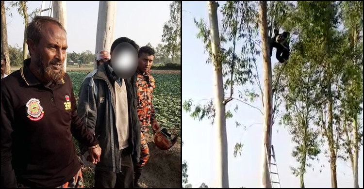 আত্মহত্যা করতে দড়ি নিয়ে উঠলেন গাছে, নামিয়ে আনলো ফায়ার সার্ভিস
