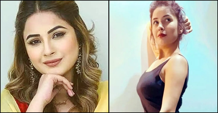 যেভাবে ১২ কেজি ওজন কমান শেহনাজ