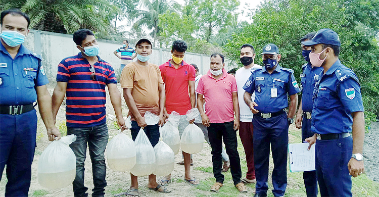 দেবহাটায় ভারতীয় গলদা রেণু আটক