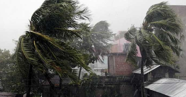 কালবৈশাখী ঝড়ে গাছ উপড়ে জেলের মৃত্যু