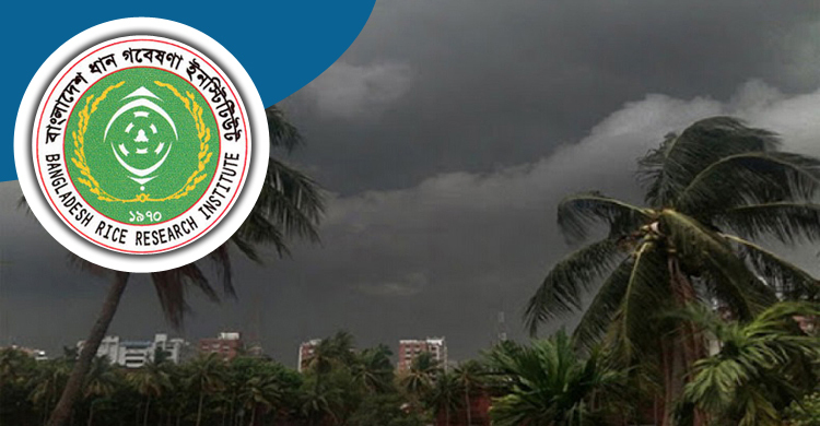 কালবৈশাখী-শিলাবৃষ্টি নিয়ে চাষিদের সতর্ক করলো ব্রি