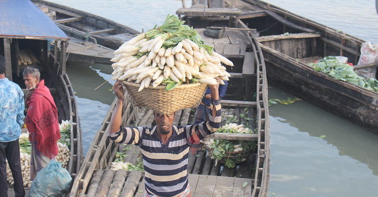 সুনামগঞ্জে শীতকালীন সবজির ভালো ফলনেও কৃষকের মুখ মলিন