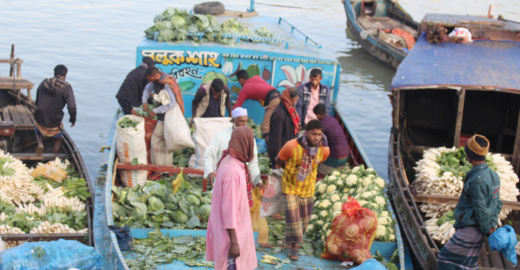 সুনামগঞ্জে শীতকালীন সবজির ভালো ফলনেও কৃষকের মুখ মলিন