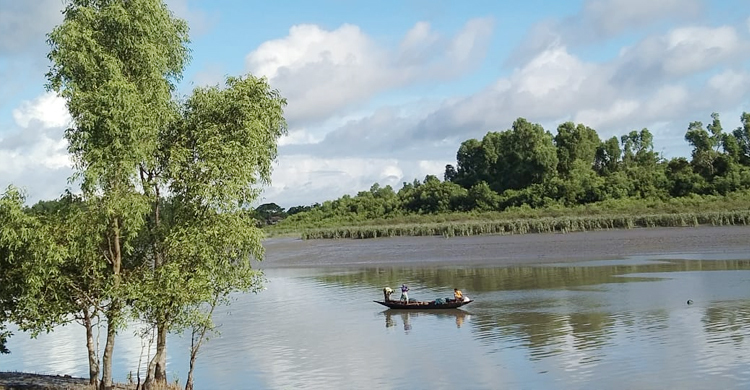 ‘মাছ ধরার পাস’ নিয়ে সুন্দরবনে কাঁকড়া নিধন