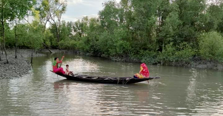 &lsquo;মাছ ধরার পাস&rsquo; নিয়ে সুন্দরবনে কাঁকড়া নিধন