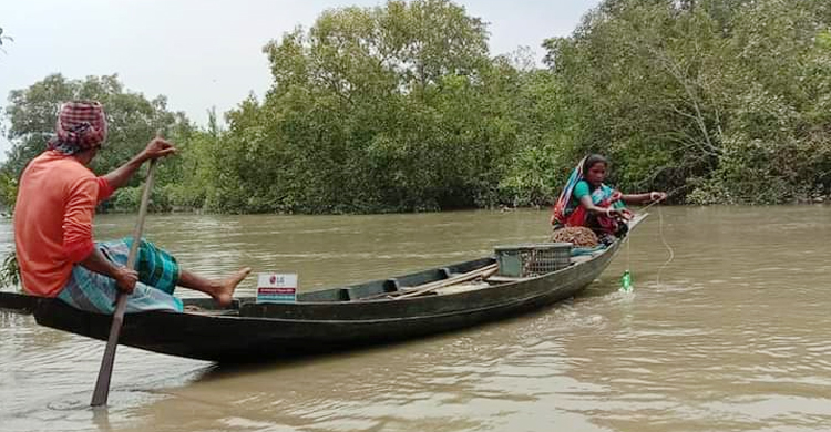 &lsquo;মাছ ধরার পাস&rsquo; নিয়ে সুন্দরবনে কাঁকড়া নিধন