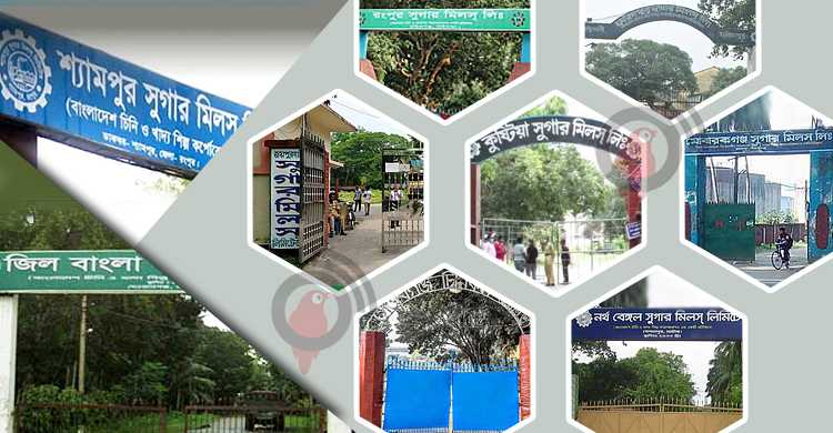 সরকারি চিনিকলে বিক্রির তিনগুণ লোকসান