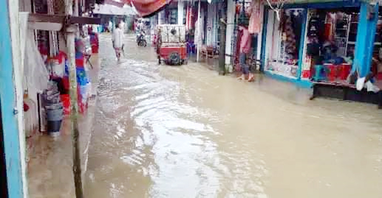 সুনামগঞ্জে বেড়িবাঁধ ভেঙে তলিয়ে গেছে পুকুর-ফসলি জমি