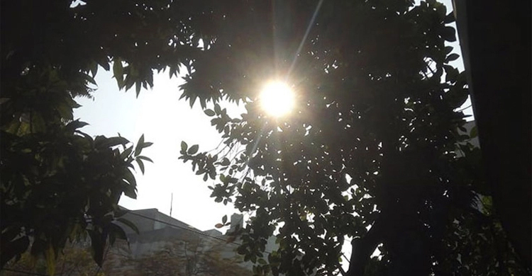 আবহাওয়ার খবর: ১২ ফেব্রুয়ারি ২০২৩